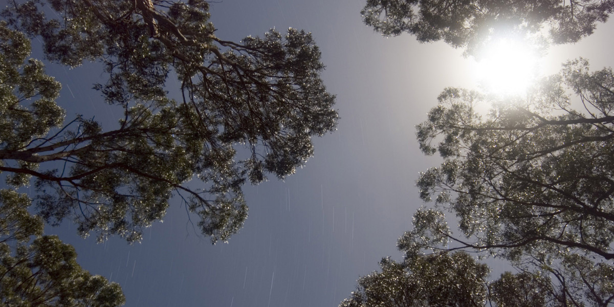 Sky Crown Casino Login Secure & Exclusive Bonuses