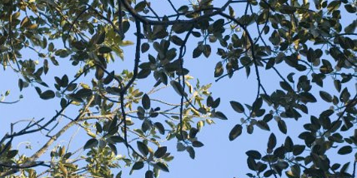 New Online Casinos in Australia: Top 10 Picks for 2025