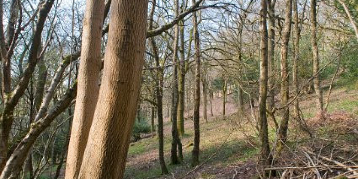 Join Now & Claim Your Bonus!