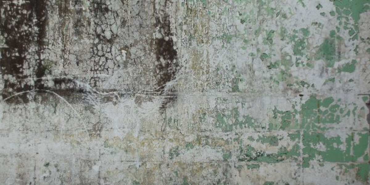 Joe Fortune Casino Review 2025