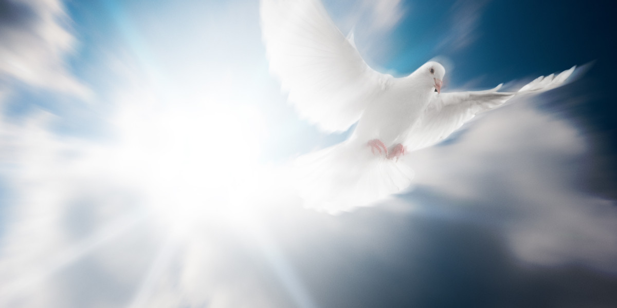 Best Gold Buy Online: A Complete Case Examine