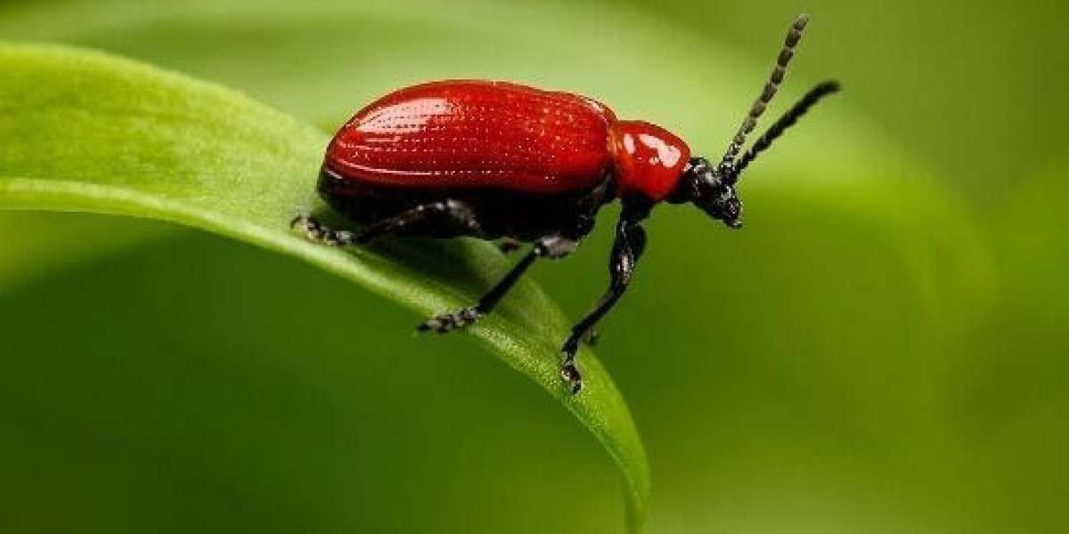 Xyz089’s Bio: A Profile Page of Desire