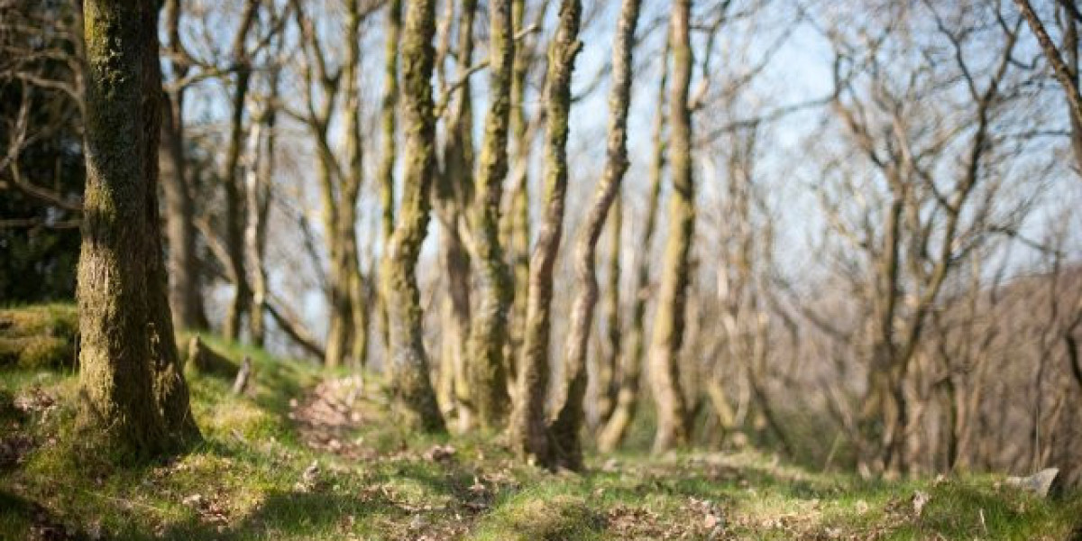 Crown Sydney: A New Era for Poker in Australia