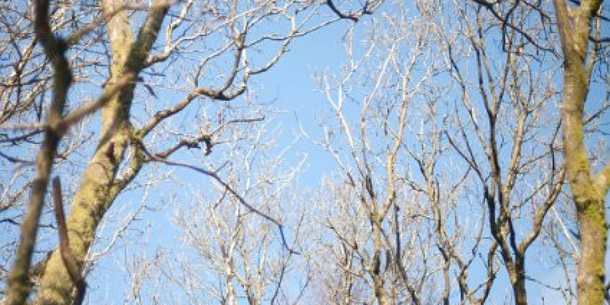 Skycrown Casino AU Review Bonuses, Promotions, Games