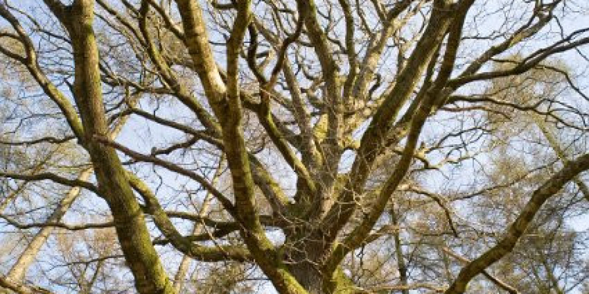 Tasmania Accommodation Deals