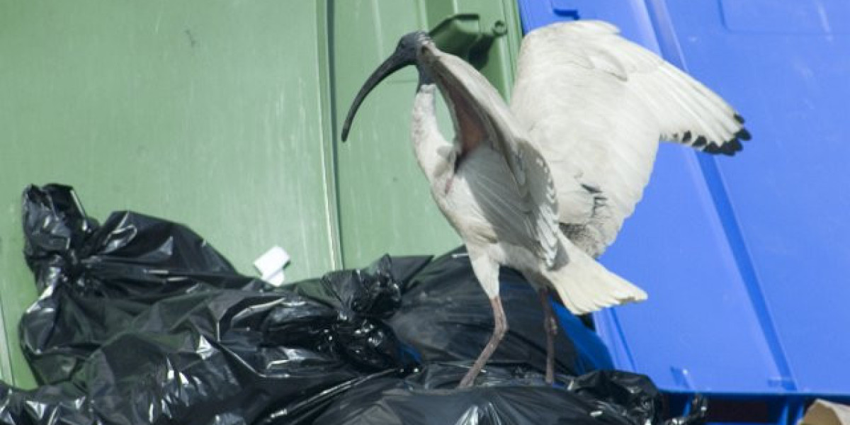 Your Ultimate Aussie Gaming Experience