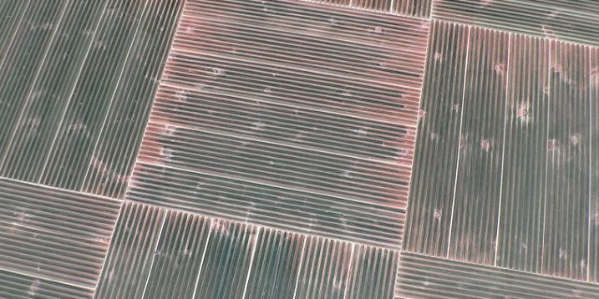 Top 10 Largest Casinos in Australia 2025