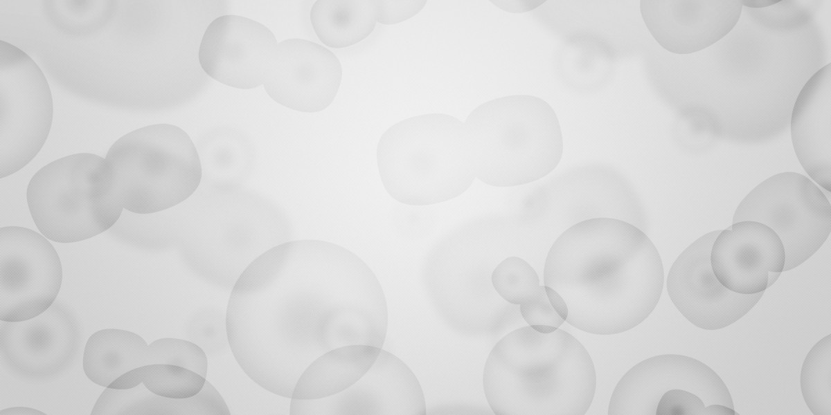 Get Loan Fast No Credit Check: Advances in Alternative Lending Solutions