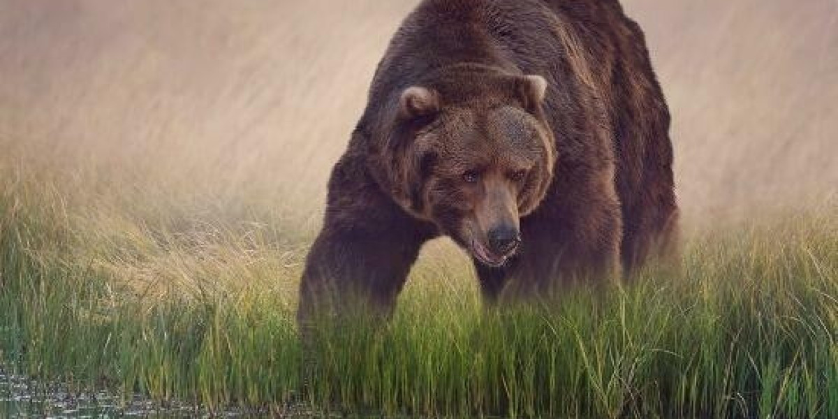 Millions Claimed: Inside The Most Spectacular Bet9ja Win