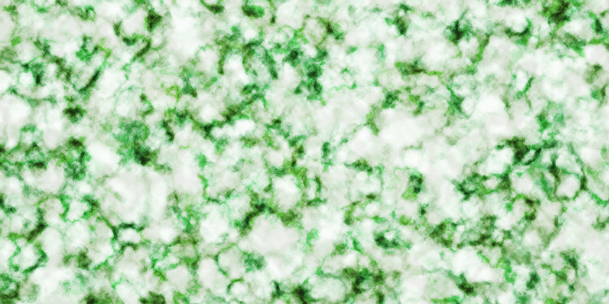 Quick Online Loans: No Credit Check Solutions for Immediate Financial Needs