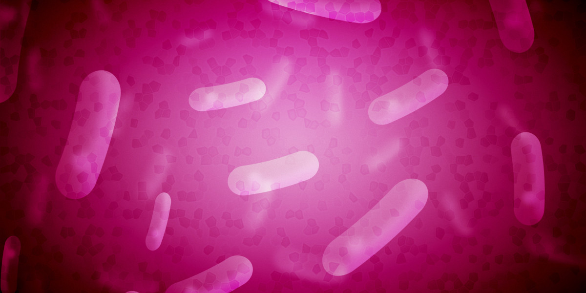 Exploring Modafinil: A Local Perspective on the Cognitive Enhancer