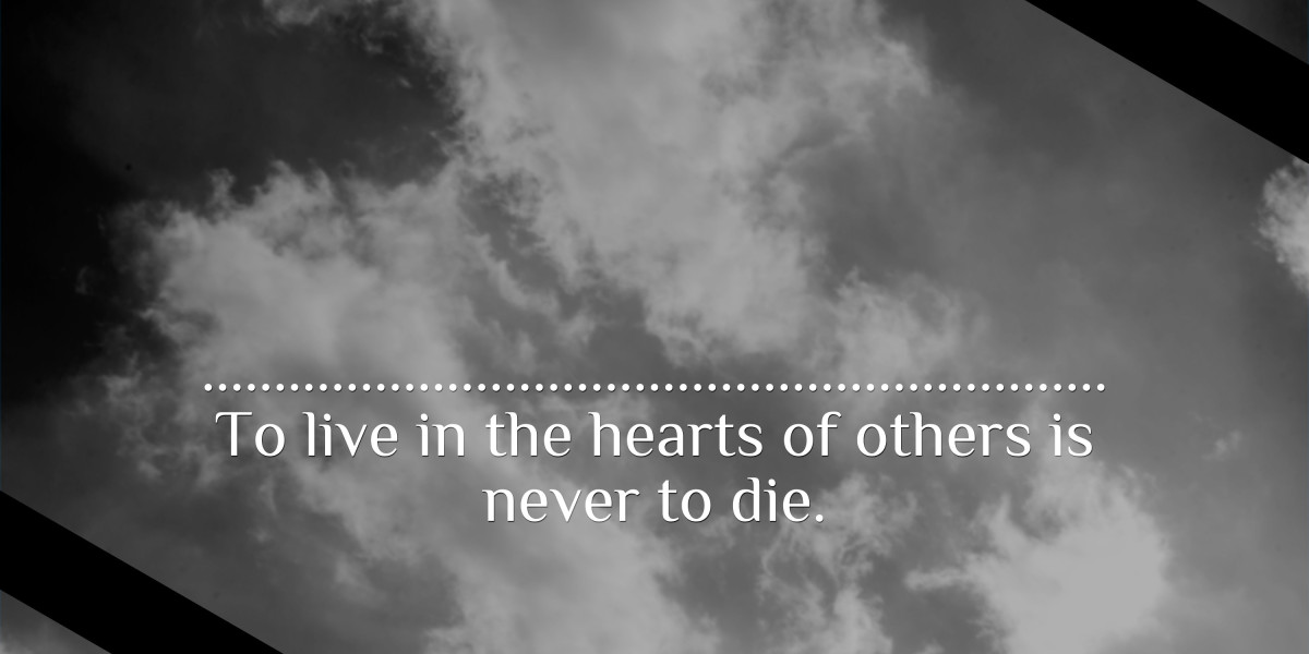The Best Rated Erectile Dysfunction Pill: A Comprehensive Observational Study