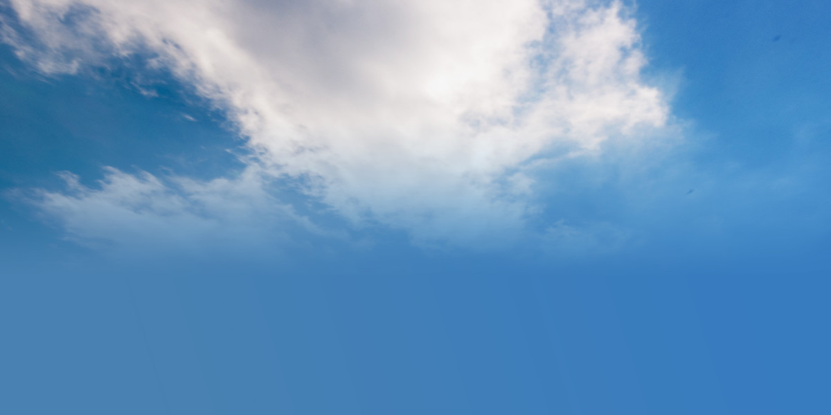 Exploring the World of Private Plane Companies: An Observational Study