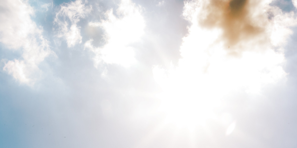 Investing in Precious Metals through a Roth IRA: A Comprehensive Case Study