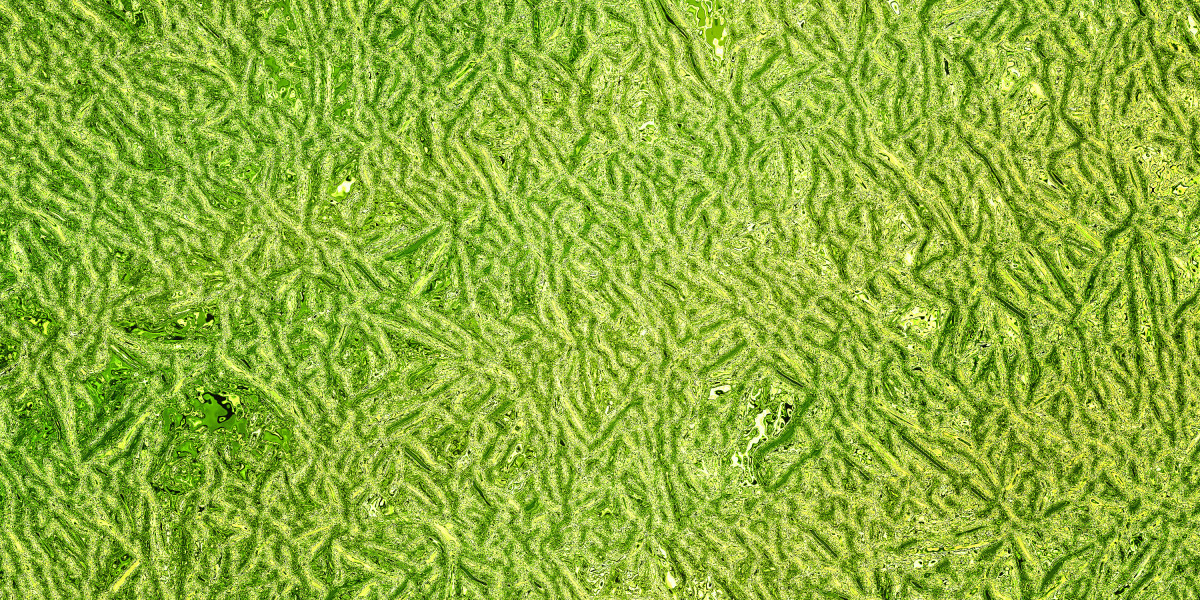 Securing a Personal Loan with Bad Credit And No Cosigner: A Comprehensive Guide