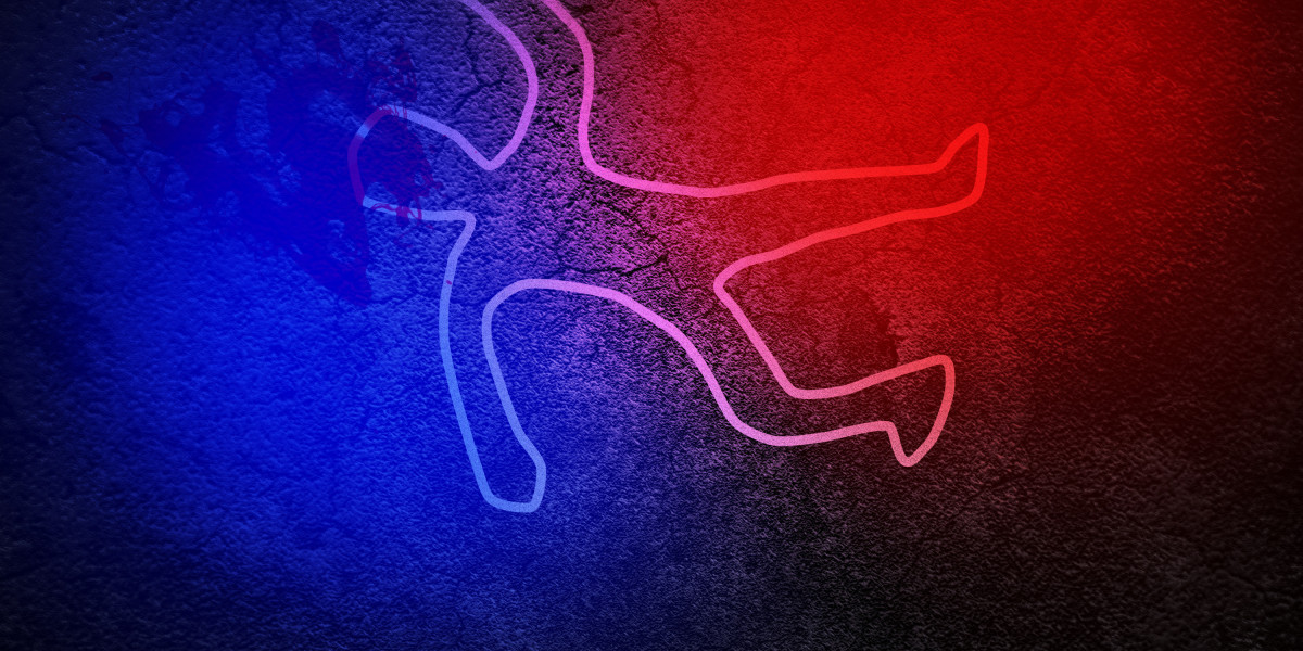 Harnessing the Power of Self-Directed Roth IRAs for Gold Investment