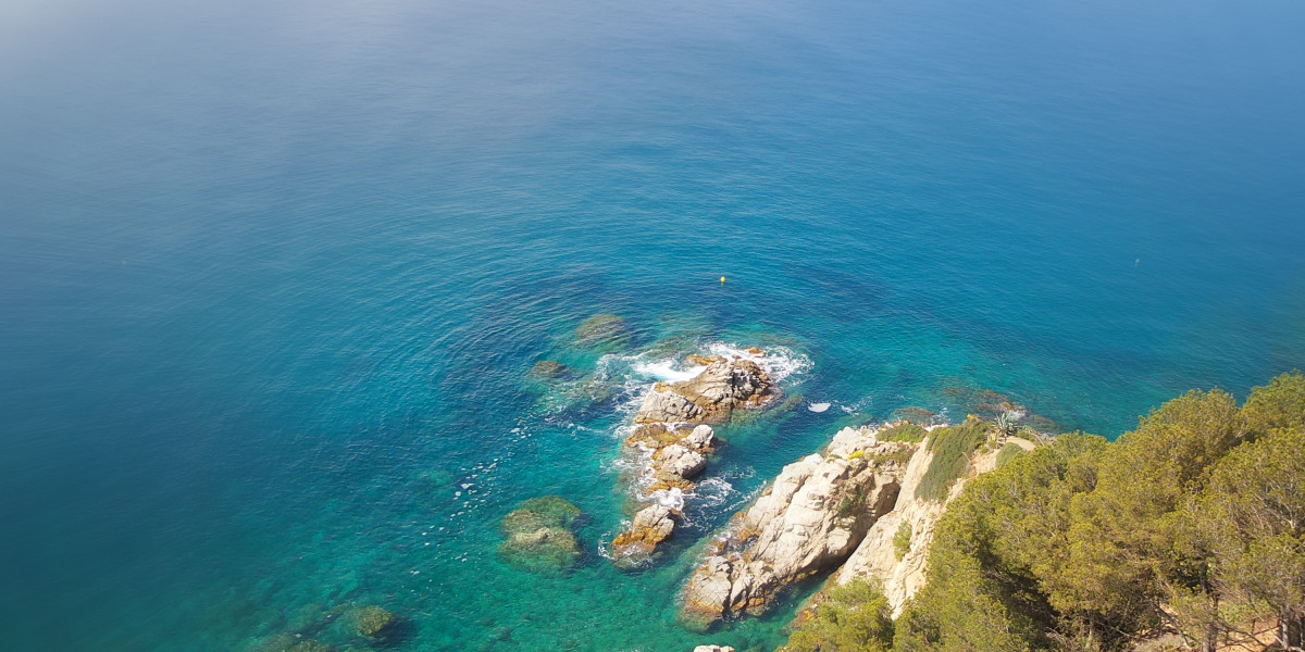 The Rise of Precious Metals Backed IRAs: A Comprehensive Case Study