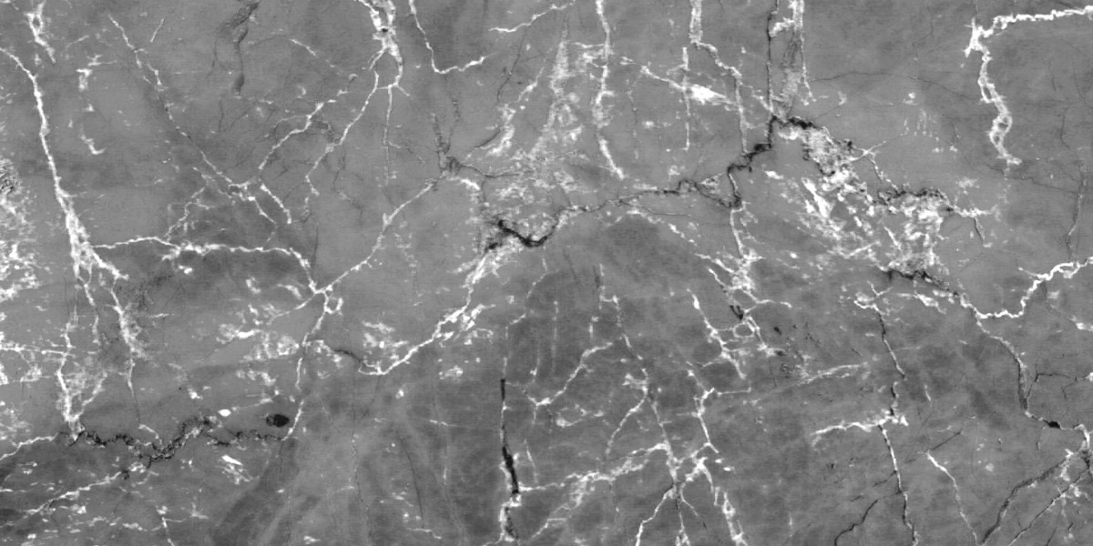 Exploring the Purchase of Modafinil in Canada: A Comprehensive Case Study