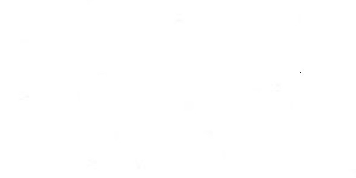 Sports Risk and Reward: What I Learned When Instinct Met Uncertainty