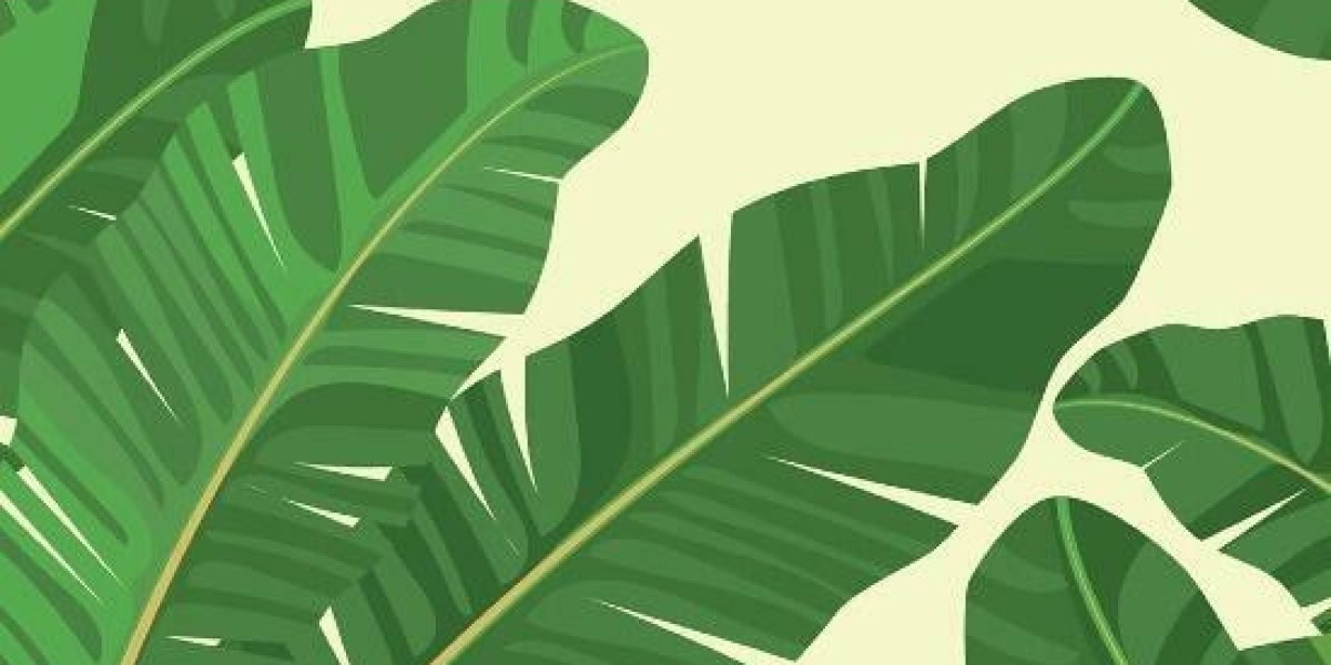 Twenty Five/7 Talent Agency - Transforming Lives And Breaking The Cycle Of Disadvantage