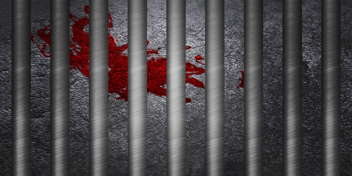 Fidelity Gold and Silver IRA: A Comprehensive Overview