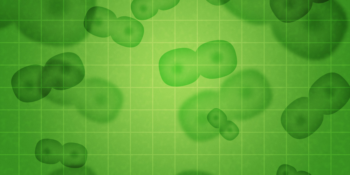 Revolutionizing Personal Loans for Bad Credit: New Alternatives In 2023