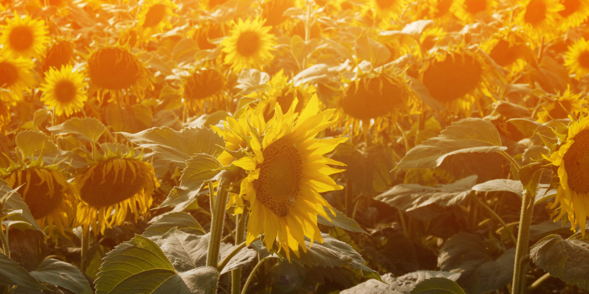 The Position of IRA Gold In Diversifying Retirement Portfolios